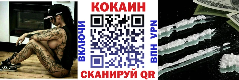 дарнет шоп  Северобайкальск  КОКАИН FishScale 