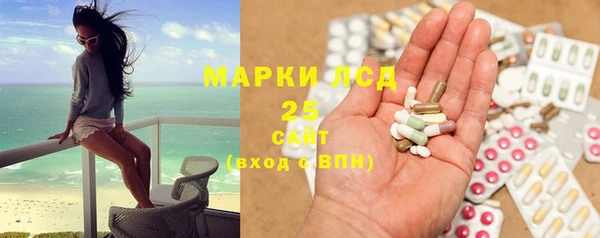apvp Бородино