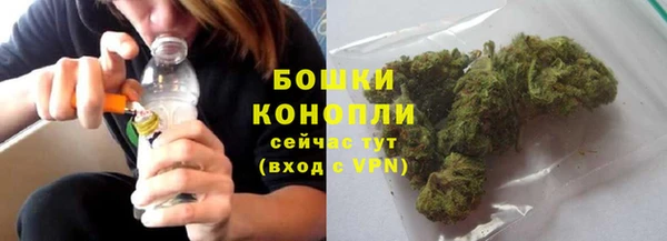 apvp Бородино