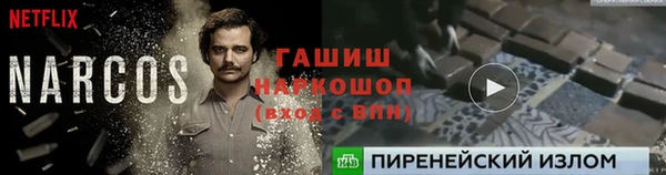 apvp Бородино