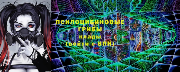 spice Бугульма