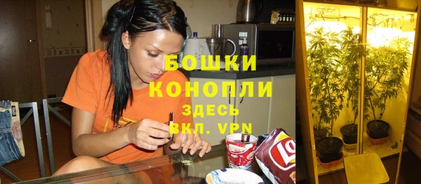 spice Бугульма