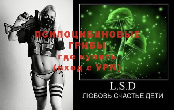 apvp Бородино
